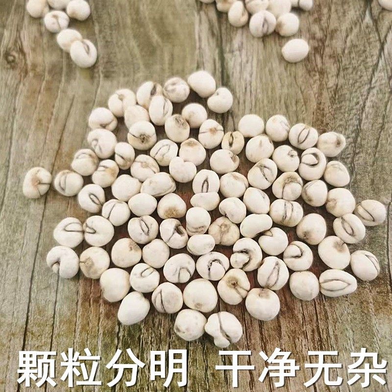 净重100g川贝川贝母无熏正品四川川贝粒川贝粉儿童原色川贝中药