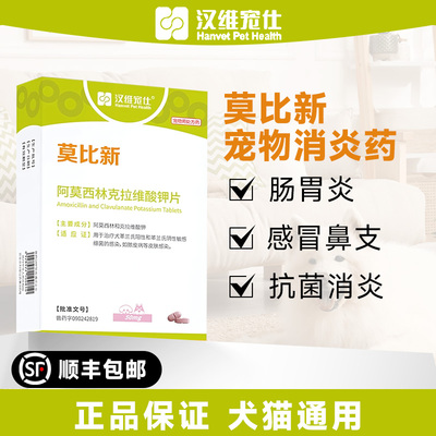 汉维宠仕莫比新阿莫西林
