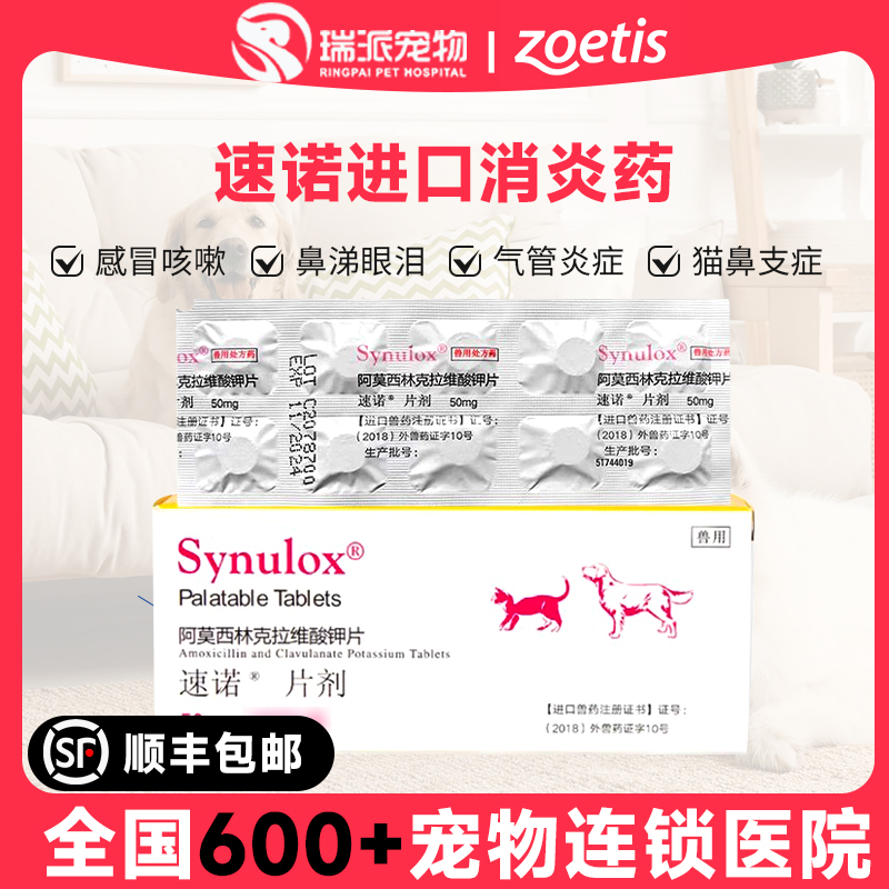 速诺片剂宠物猫感染消炎