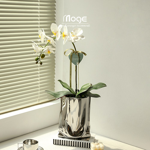 陌歌 高档蝴蝶兰仿真花摆件餐桌花假花客厅电视柜装饰品花艺摆设