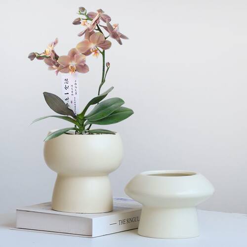 简约陶瓷花盆家用北欧ins奶油风轻奢蝴蝶兰梦香兰多肉绿植盆景盆