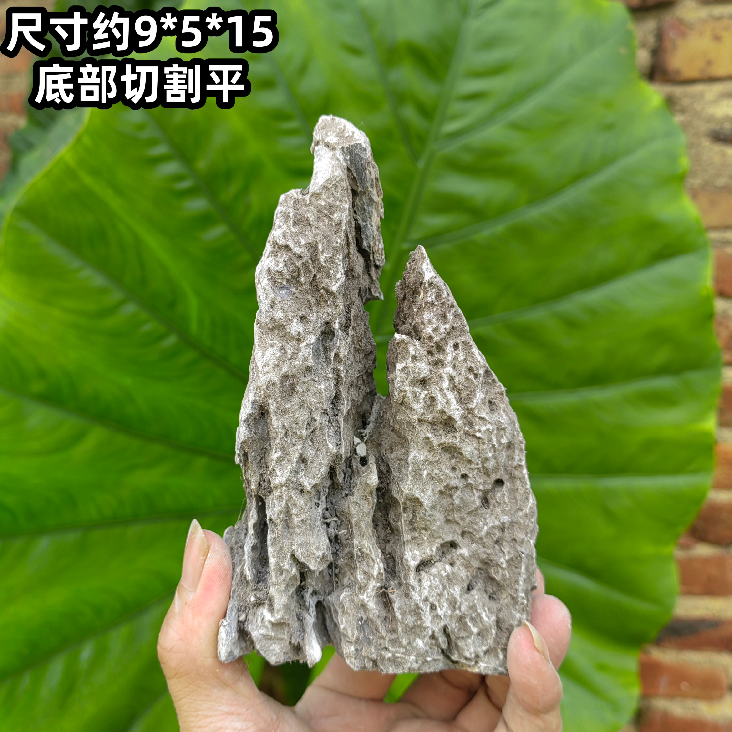精品青龙石造景石酸洗草缸天然原石附石盆景园林景观英德鱼缸假山