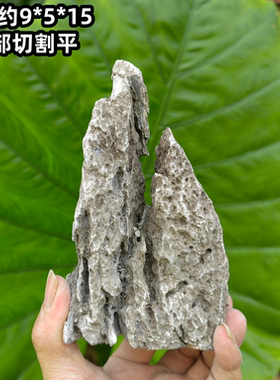 精品青龙石造景石酸洗草缸天然原石附石盆景园林景观英德鱼缸假山