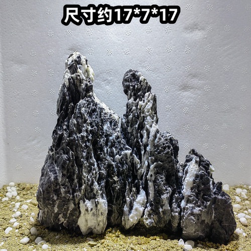 酸洗青龙石盆栽石造景长条石盆景天然树抱石绿植花盆鱼缸装饰假山