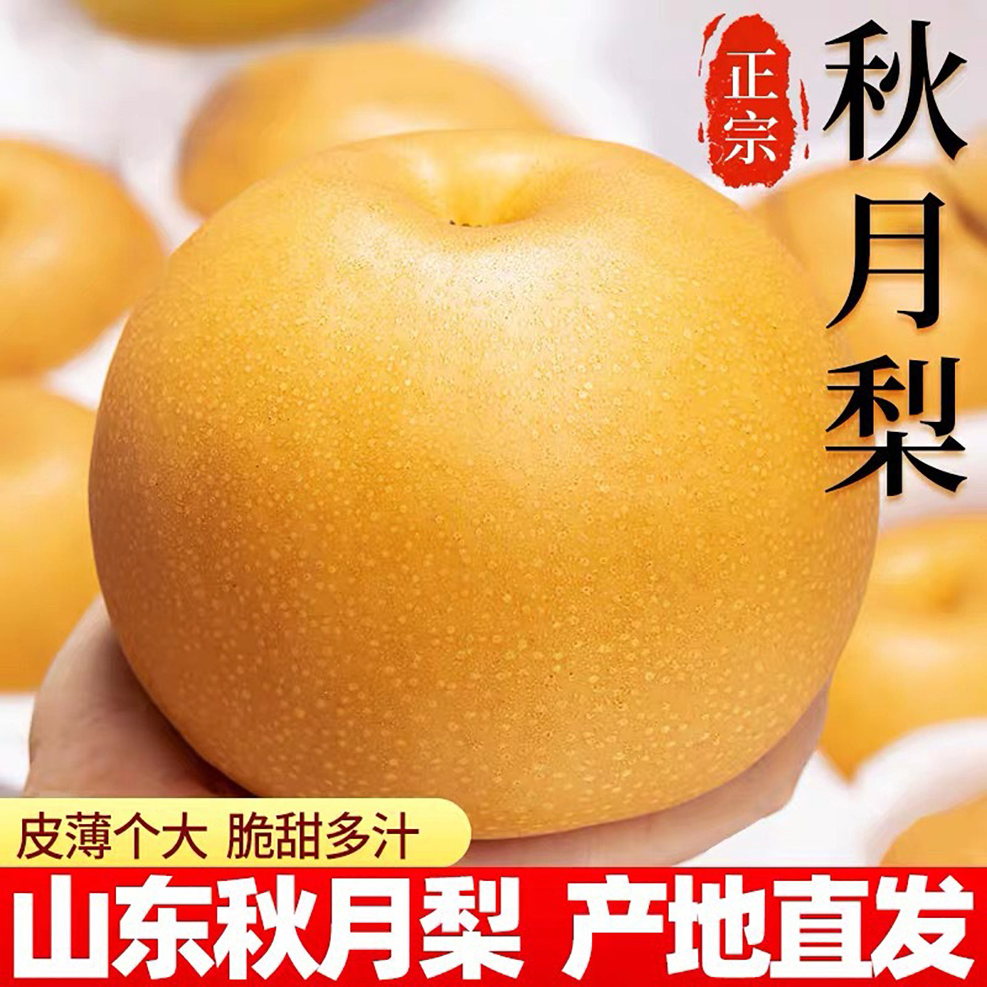 正宗秋月梨 安徽砀山秋月梨新鲜水果5斤顺丰包邮