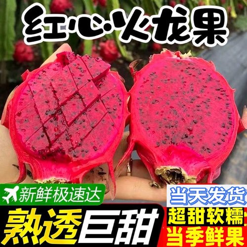顺丰包邮！10斤爆甜火龙果当季