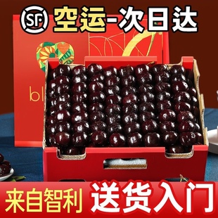 智利车厘子5斤新鲜水果整箱顺丰 礼盒现货孕妇4jjjj进口大樱桃 包邮