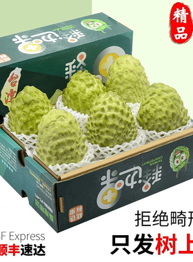 台湾凤梨大目释迦果5斤大果新鲜农产品 现摘番荔枝牛奶释迦摩尼果