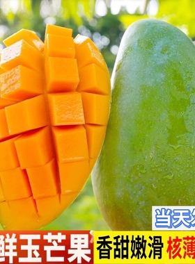 【精品】正宗玉芒青皮芒果5斤新鲜热带水果大果应季批发包邮整箱