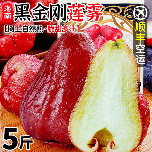 【顺丰包邮】海南三亚黑金刚莲雾