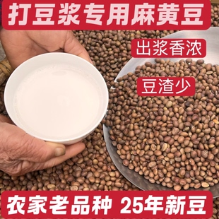 市场稀有的麻黄豆打豆浆专用农家自种新豆湖南本地土黄豆五谷杂粮