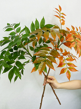 仿真植物假树叶绿色大龟背室内花槽塑料绿植背景墙景观造景装饰