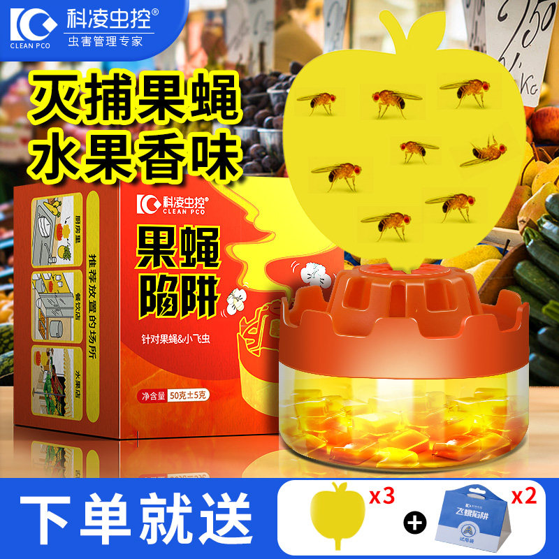 果蝇诱捕器粘虫小飞虫灭杀神器苍蝇药饵剂蝇板捕捉器克星杀虫剂