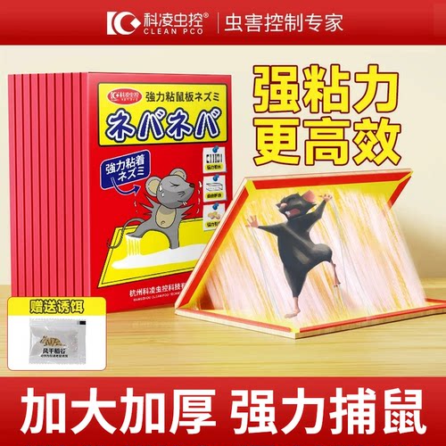 科凌虫控粘鼠板强力捕鼠神器
