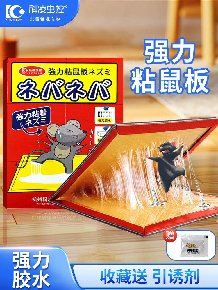 老鼠贴超强力粘鼠板胶粘抓大老鼠大号加厚家用捕鼠神器扑捉器正品
