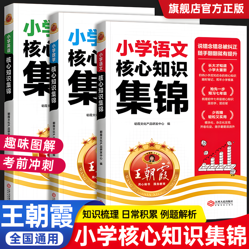 新版现货小学核心知识集锦王朝霞
