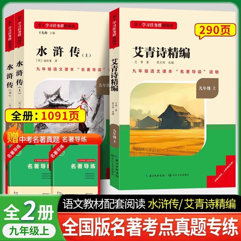 简爱儒林外史九年级阅读书