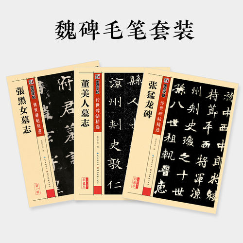 墨点魏碑字帖张黑女墓志张猛龙碑董美人墓志毛笔字帖传世碑帖精选原碑原帖书法教程湖北美术出版社毛笔书法临摹字帖毛笔楷书字帖