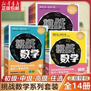 挑战数学初级中级高级 任选共14册幼小衔接儿童启蒙举一反三思维训练你好这就是数学新加坡幼儿益智游戏专注力智力开发全脑教辅