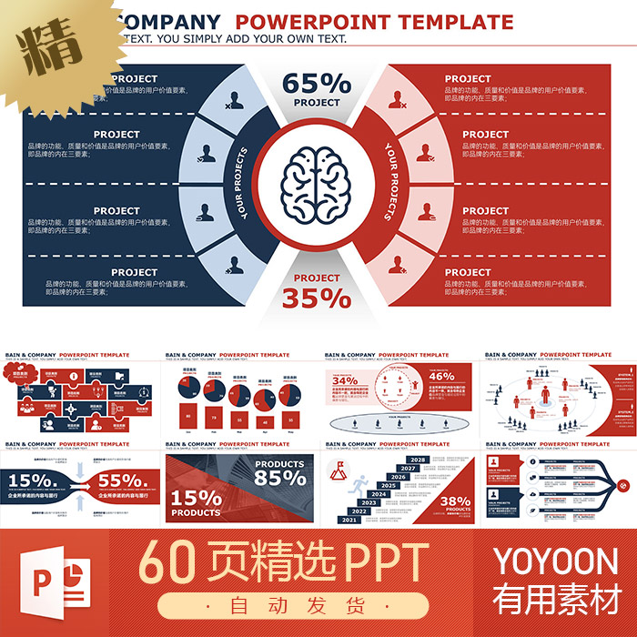 关键战略原则潜在客户群体营销业务计划管理分析形状图表PPT模板