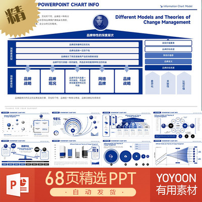 产品解析洞察分析数字化经营策略品牌战略布局指南报告PPT模板