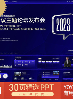 国际感高端电子商务会议总结汇报提案咨询财务品牌营销PPT模板