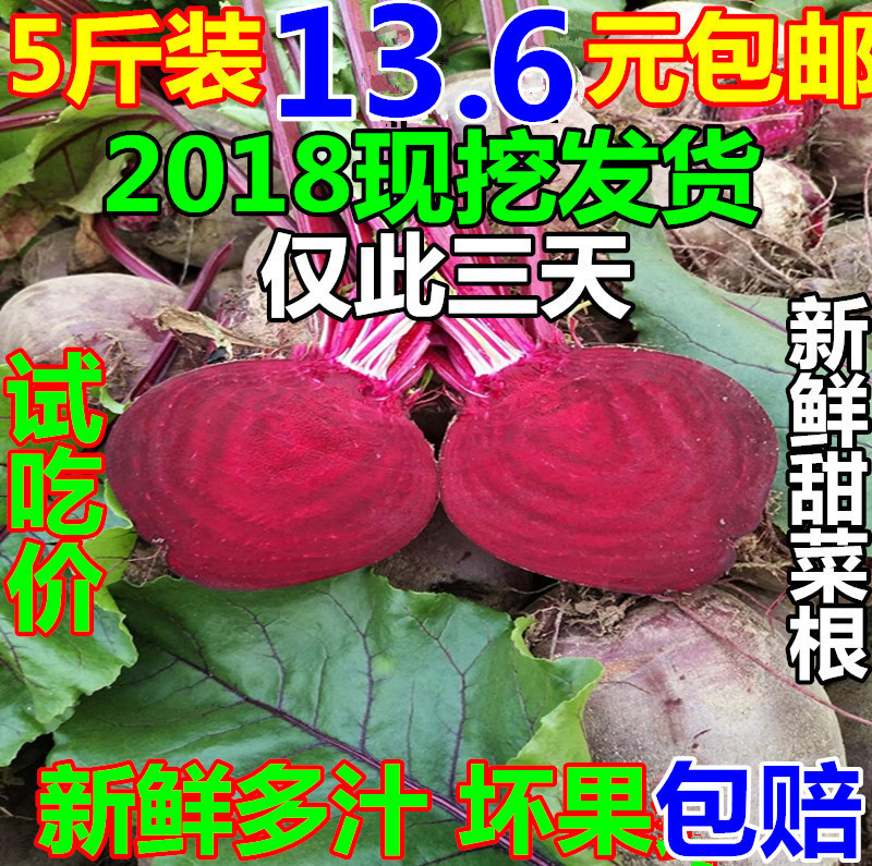 2018ÄêÐÂÏÊÅ©¼Ò×ÔÖÖÌð²Ë¸ùÌð²ËÍ·ÌðÐìÖÝ·¢»õÐÂÏÊÊß²Ë1·Ý5½ï