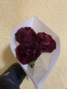 反季节芍药老忠诚水瓶办公家庭插花菏泽基地直发顺丰包邮