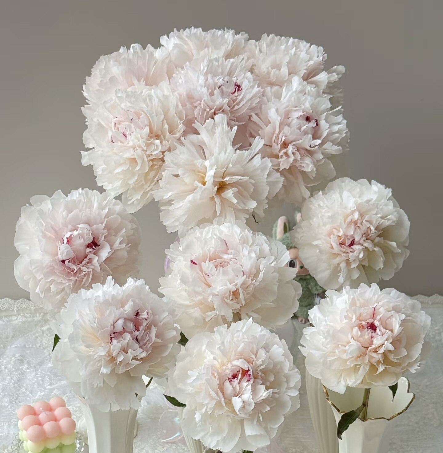三点红甘肃芍药鲜花水瓶办公家庭插花菏泽基地直发顺丰包邮