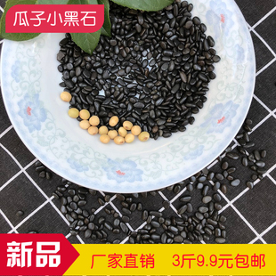 多肉铺面小黑石头超小号黑色高度深抛光纯天然黑色鹅卵石雨花石