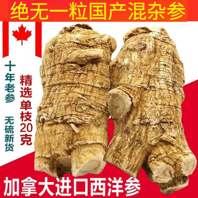 加拿大西洋参进口新西洋参整枝粒头段枝500g美国花旗参代切片磨粉