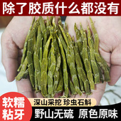 珍虫铁皮石斛云南野外崖壁铁皮石斛珍虫干条化渣精选粗大珍石斛