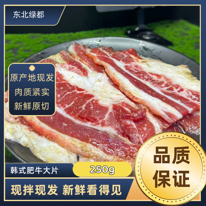 韩式雪花肥牛大片肉 齐齐哈尔烤肉 齐齐哈尔芭比Q 东北牛肉 250g