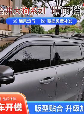哈弗大狗一代/拉布拉多/边牧雨眉