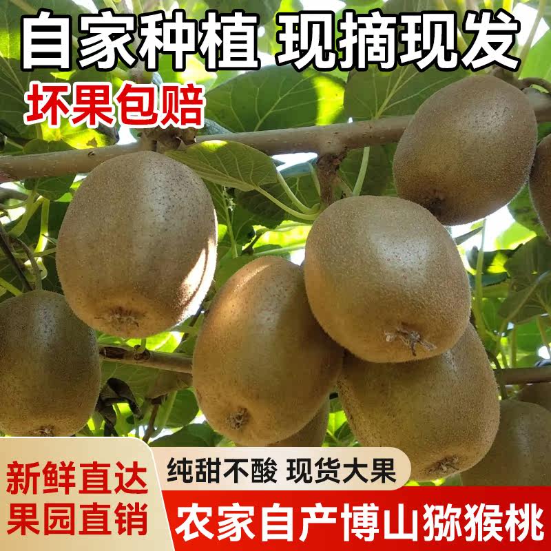 山东博山香甜多汁猕猴桃现摘现发