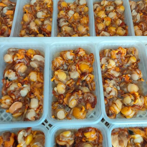 东山岛海鲜大扇贝肉大扇贝