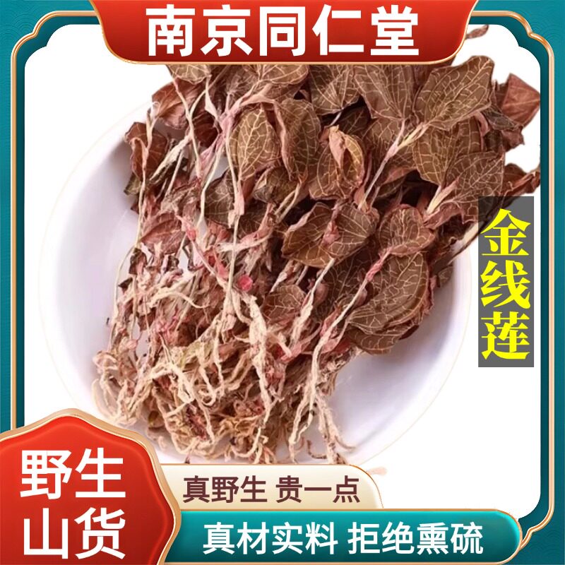 南京同仁堂野生特级金线莲中药材整株金线莲干品炖汤养生茶泡水喝