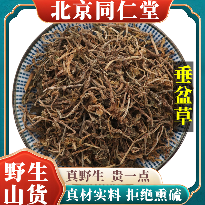 北京同仁堂野生特级垂盆草中药泡茶食用天然无硫包邮正品原料100g