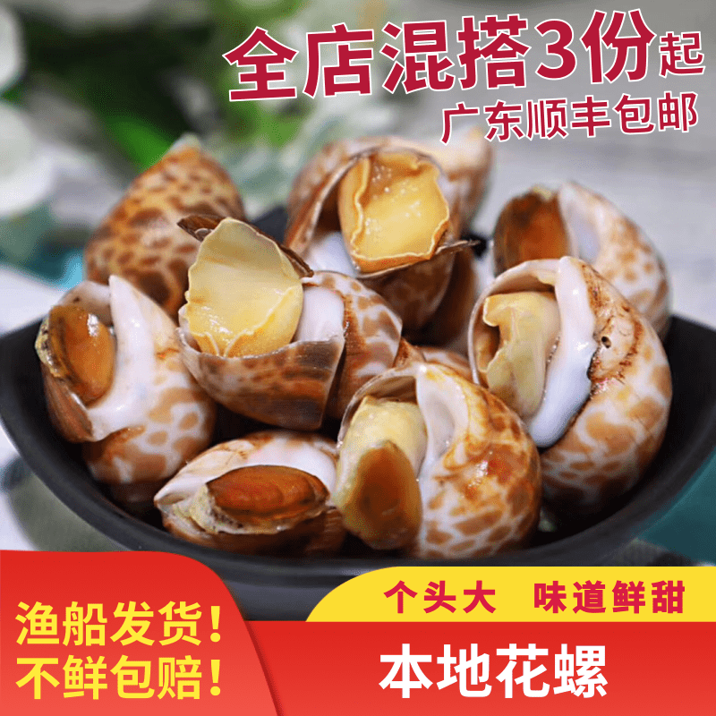阳江海陵岛特产海鲜鲜活本地花螺东风螺新鲜螺小海螺贝壳类  500g