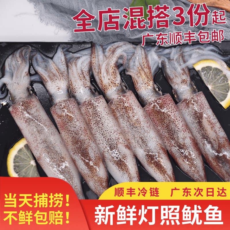 【零添加】灯照捕捞阳江水产海鲜冷冻鱿鱼