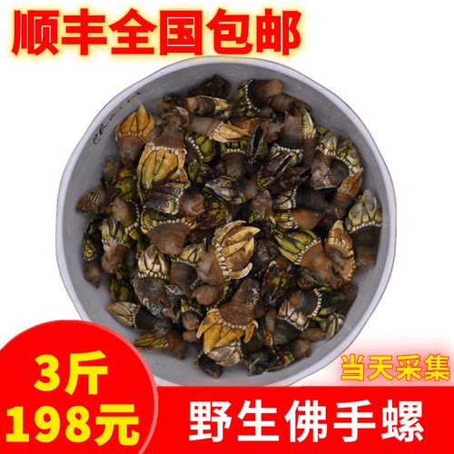 新鲜鸡爪佛手螺3斤包邮