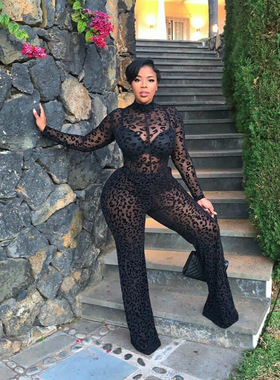 Mesh leopard print see through jumpsuit 网纱豹纹透视连体长裤