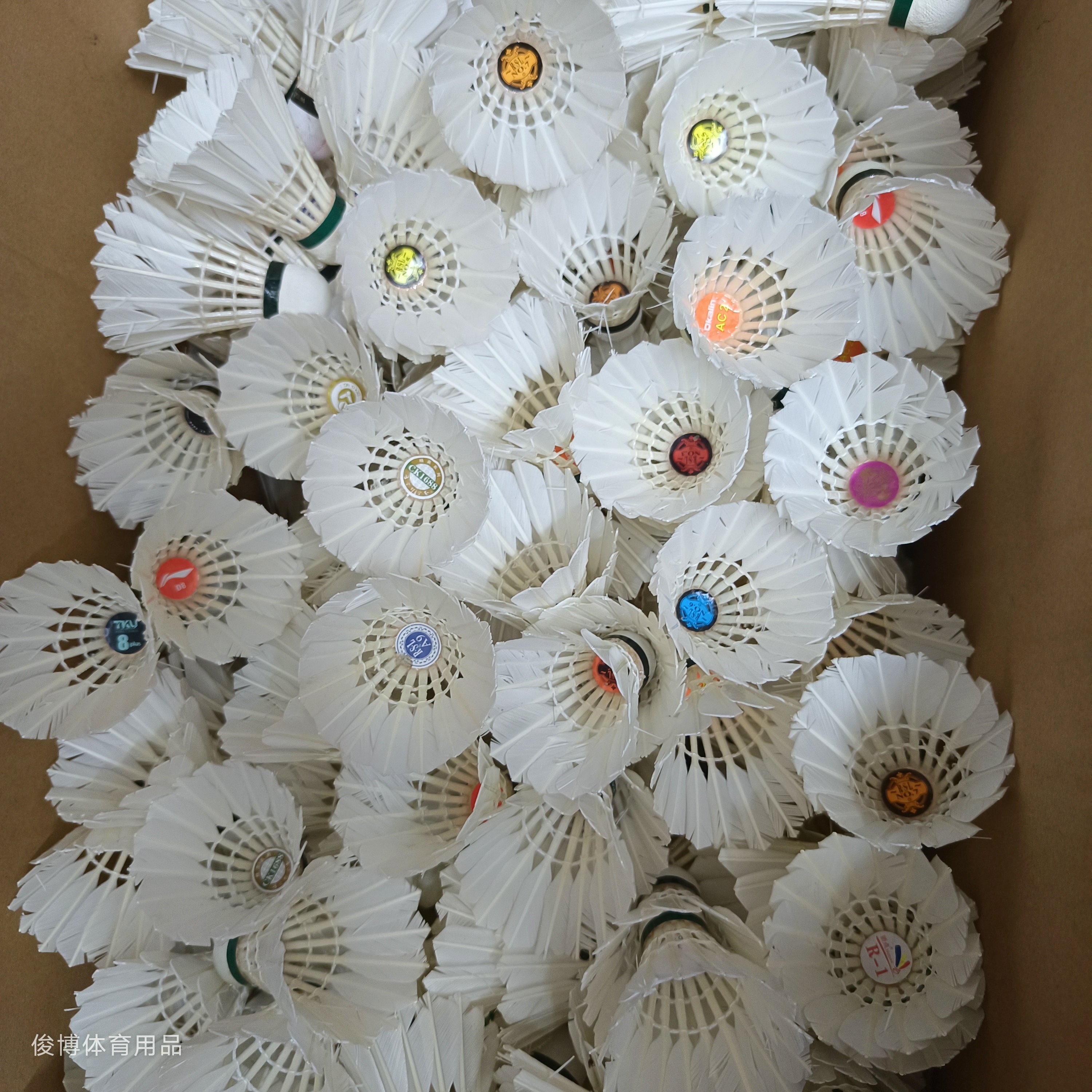 二手羽毛球9成新大品牌混装型号亚狮龙羽毛球旧球耐打室内培训