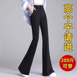 拖地裤 175高个子加长170马蹄裤 西装 200斤大码 女2025春夏微喇叭裤