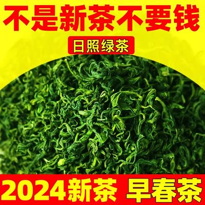 早春茶特级2024日照绿茶新茶鲜香