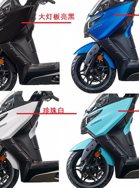 光阳摩托CK250T-11CT250/CT300ABS原装前大板灯护板车壳外壳前围
