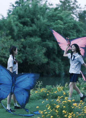 2025新款蝴蝶飘带风筝小红书爆款成人专业拍照道具出片神器春游