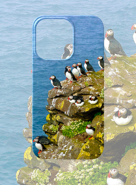 可爱海鹦蓝色手机壳适用iPhone17promax苹果16菲林14一加13小米15硬reno12华为mate70荣耀Pura80红米vivox200