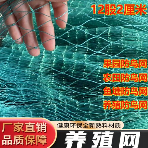 定制户外果园防鸟网大棚通风网果树葡萄网农田玉米稻谷鱼塘防护网