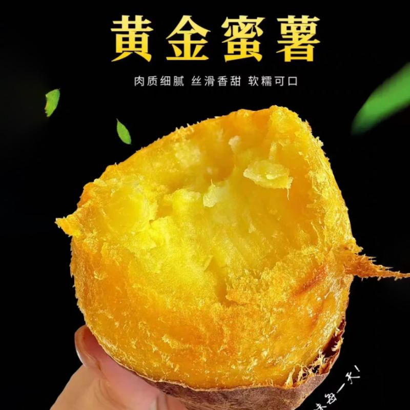 正宗榴莲蜜薯新鲜现挖农家种植番薯黄心小香薯孕妇代餐红薯包邮